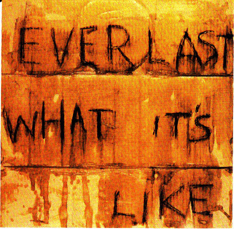 Everlast - What it's Like